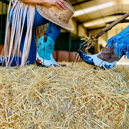 botines cowboy colores
