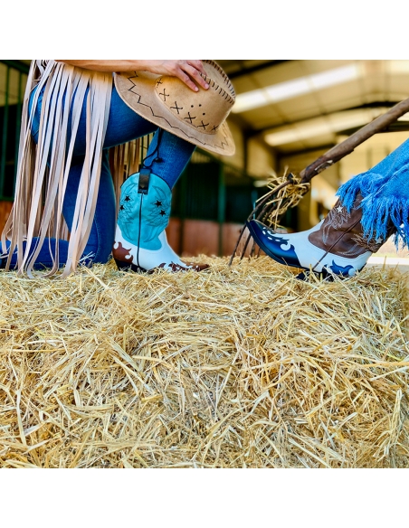 botines cowboy colores