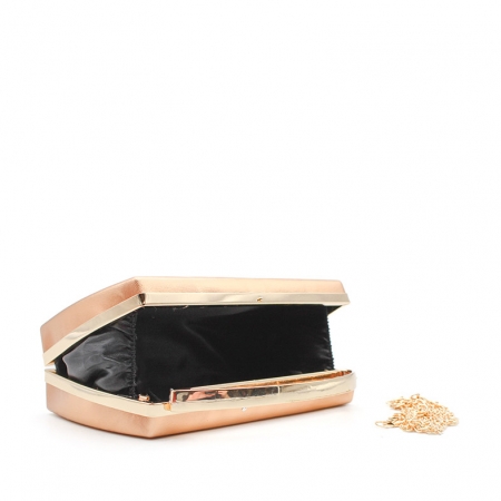 Bolso de lujo champagne