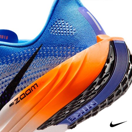 Detalle lateral Nike Pegasus Plus hombre ZoomX azul