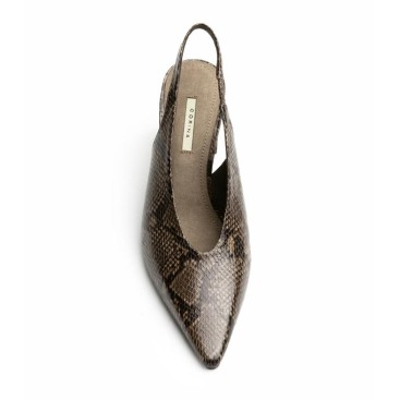 Zapato animal print marrón de punta fina vista superior